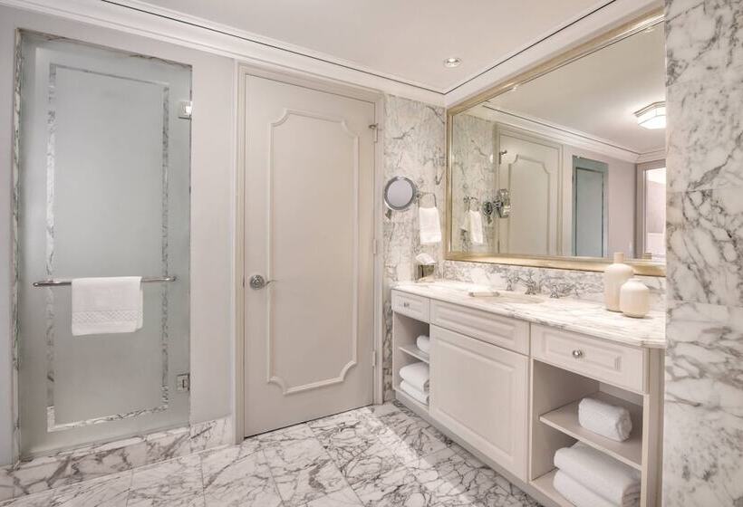 带2个双人床的标准工作室, The Ritzcarlton Coconut Grove, Miami