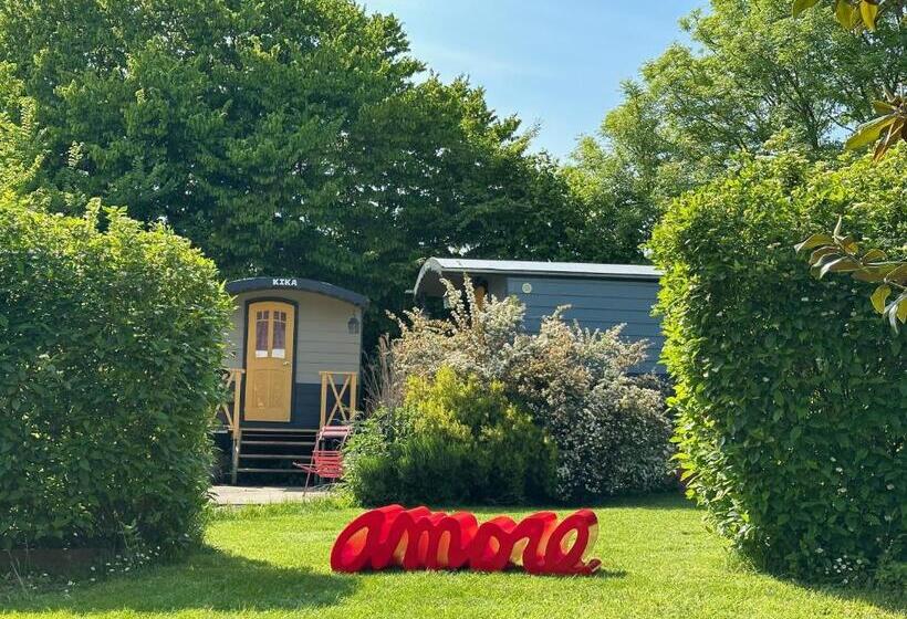 Номер Стандарт, Au Presbytère De Saigneville