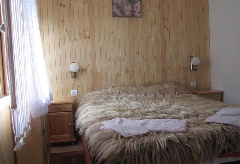Номер Стандарт, Elitza
