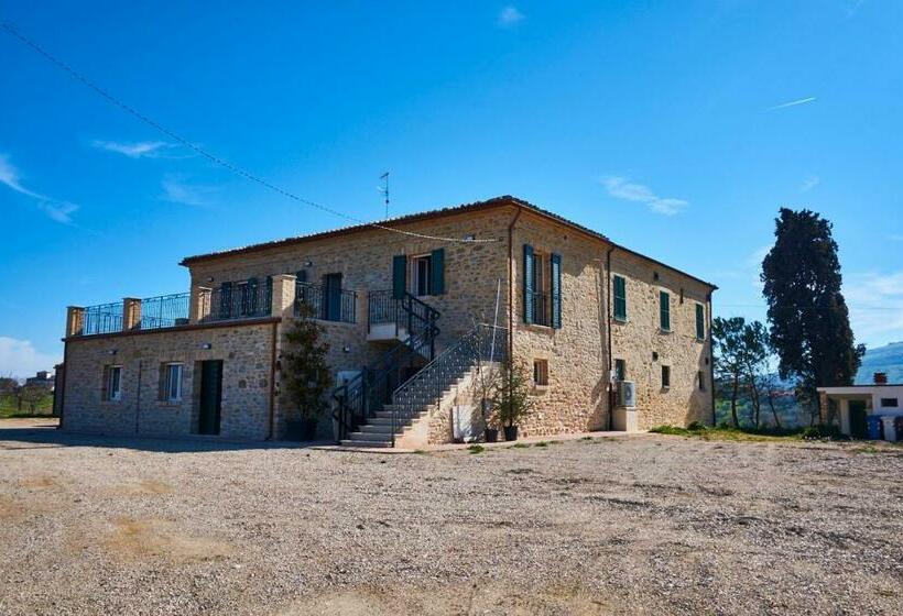 Номер Стандарт, Azienda Agricola Perconti