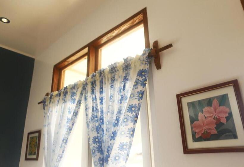Номер Deluxe Одноместный, Vitton Resort