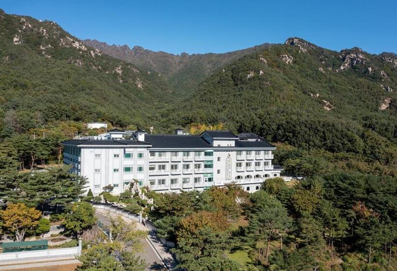 패밀리 룸, Gaya