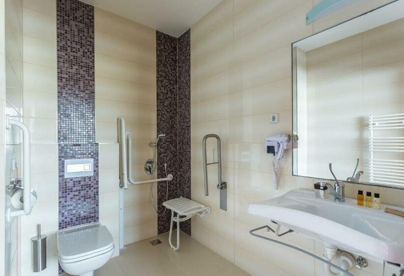 Номер Стандарт Адаптированный для Инвалидов, Outlet Hotel Polgár
