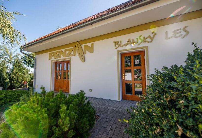 Люкс, Penzion Blanský Les