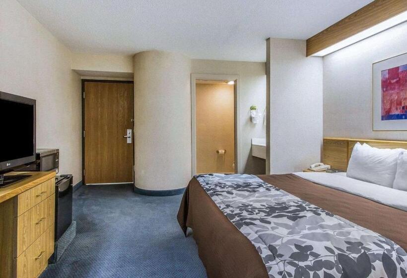 스탠다드 룸 킹사이즈 침대, Rodeway Inn Fremont