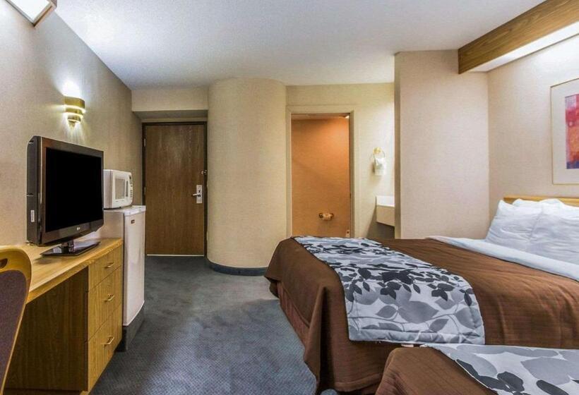 스탠다드 룸, Rodeway Inn Fremont