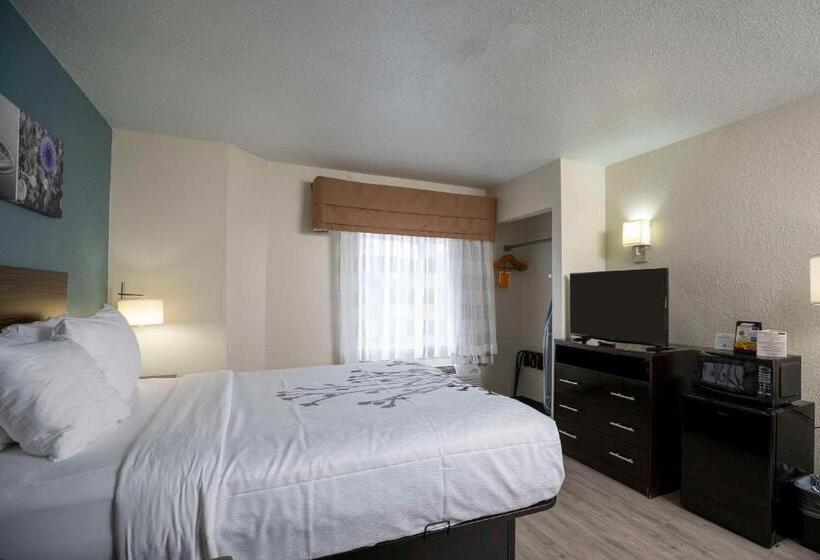Номер Стандарт, Sleep Inn Near Outlets