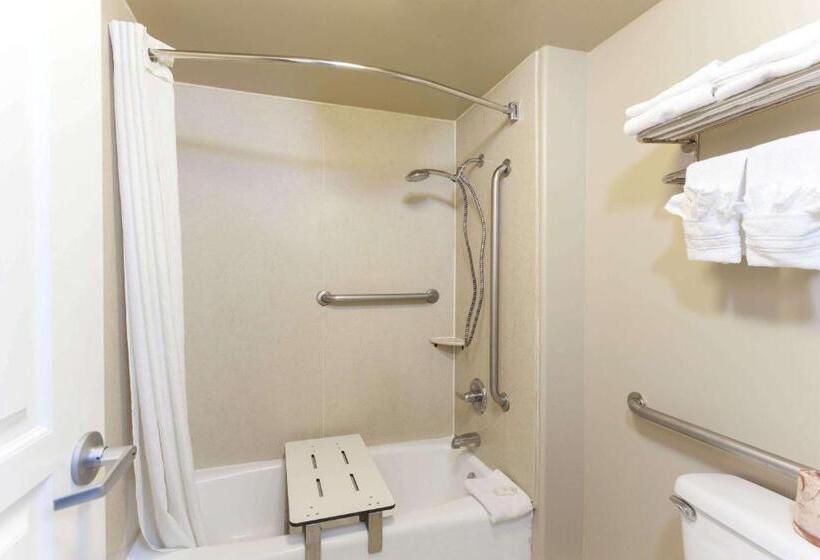 장애인을 위한 킹사이즈 침대 스탠다드 룸, Torrance Inn Lax Airport Area