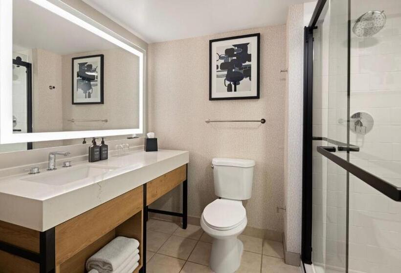 Номер Deluxe Адаптированный для Инвалидов, Sheraton Overland Park Hotel At The Convention Center