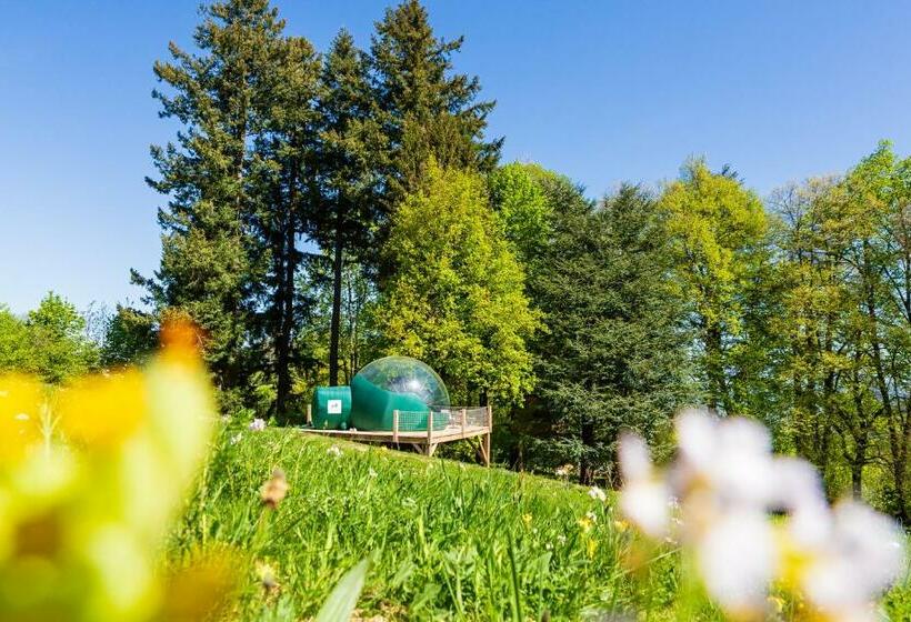 Standard Tent, Monchateau étoilé, Hébergement Insolite Avec Spa