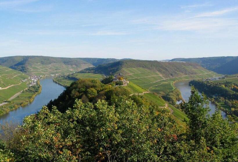 Номер Стандарт с Балконом, Weingut Goeres
