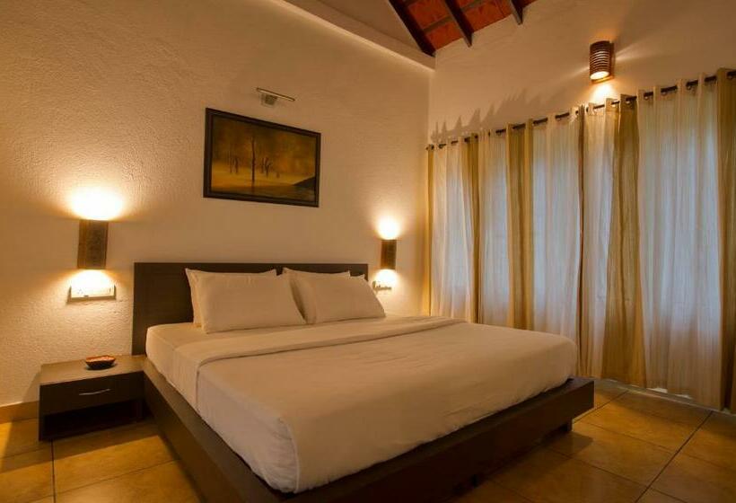 带大床的高级房间, After The Rains   Rainforest Lodge