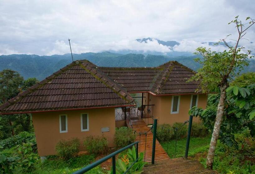 高级大房间, After The Rains   Rainforest Lodge