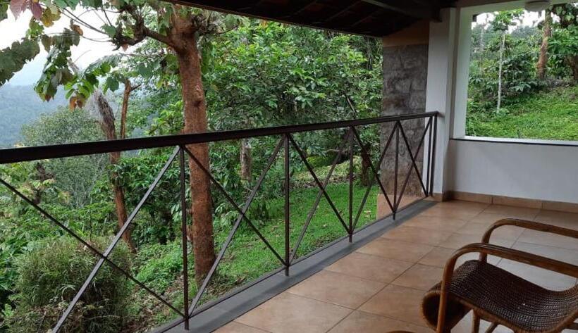 带大床的高级房间, After The Rains   Rainforest Lodge