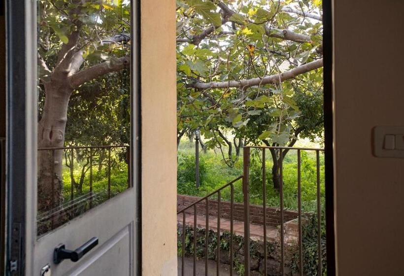 Номер Economy, Agriturismo San Leonardello