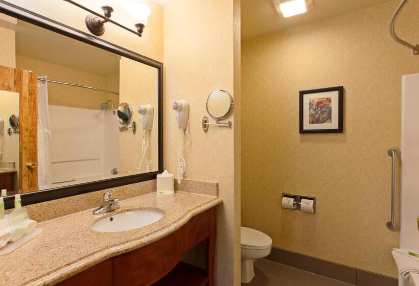 스탠다드 룸, Holiday Inn Express Temecula, An Ihg