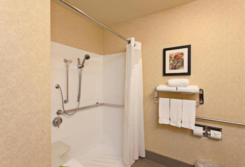 장애인을 위한 킹사이즈 침대 스탠다드 룸, Holiday Inn Express Temecula, An Ihg