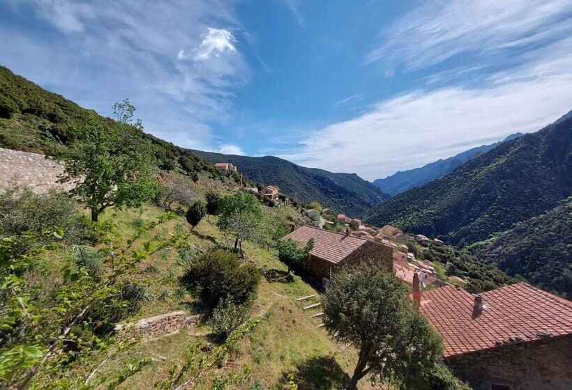 Студио Стандарт с Видом, Résidence E Cime Asco Locations De Studios Meublés