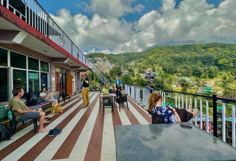 Кровать в Общей Комнате, Backpackers Inn
