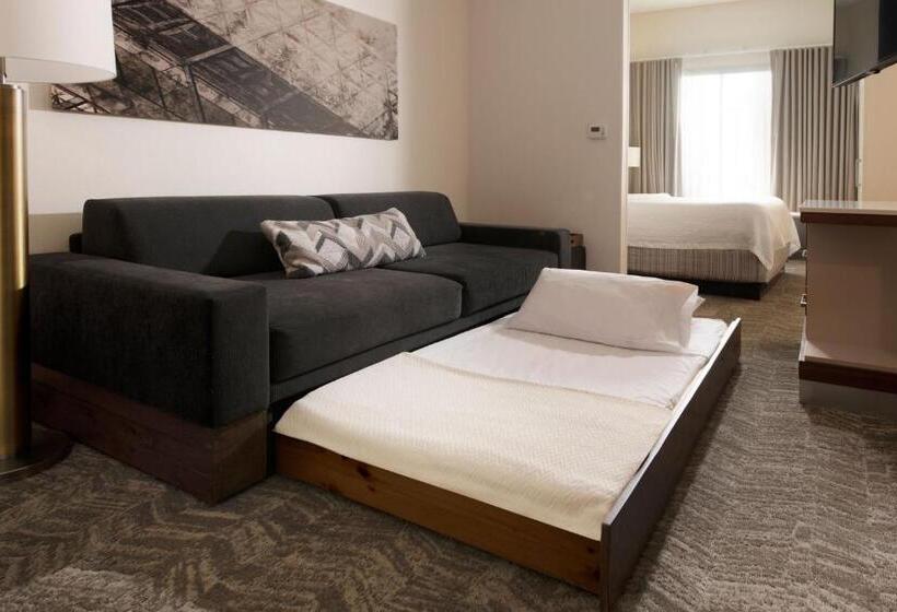 Studio Standard, Springhill Suites By Marriott Austin The Domain Area
