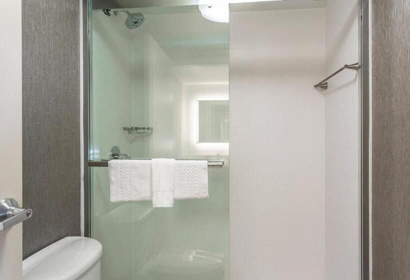 Studio Standard Lit King Size, Springhill Suites By Marriott Austin The Domain Area