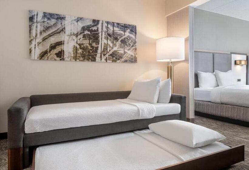 Студио Стандарт Кровать Кинг, Springhill Suites West Mifflin
