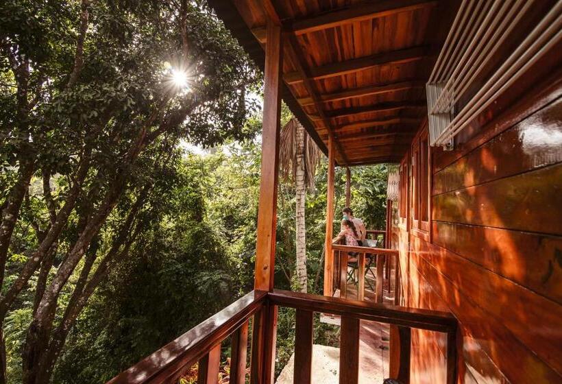 Номер Стандарт, Ecohotel Yachay Tayrona Dentro Del Parque Tayrona