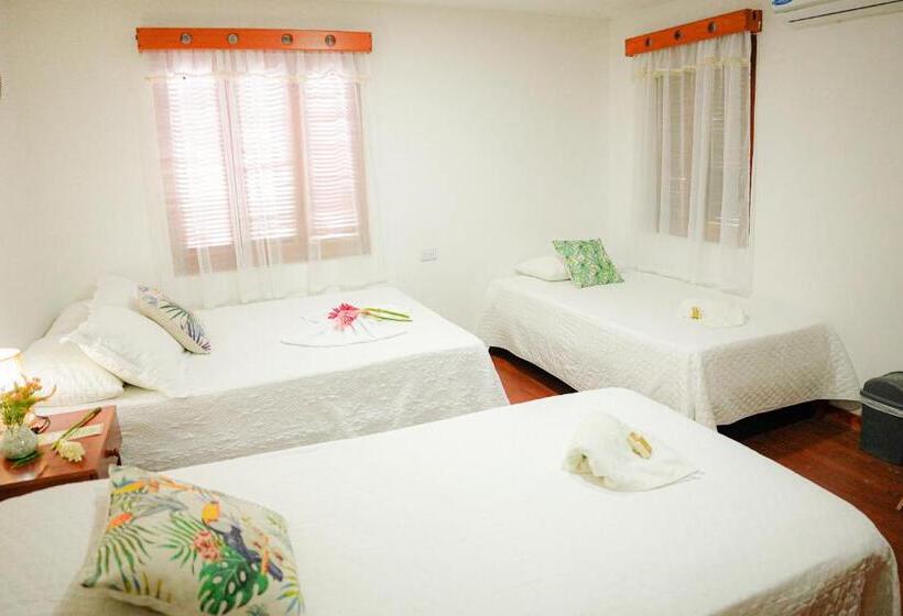Номер Стандарт Трехместный, Ecohotel Yachay Tayrona Dentro Del Parque Tayrona