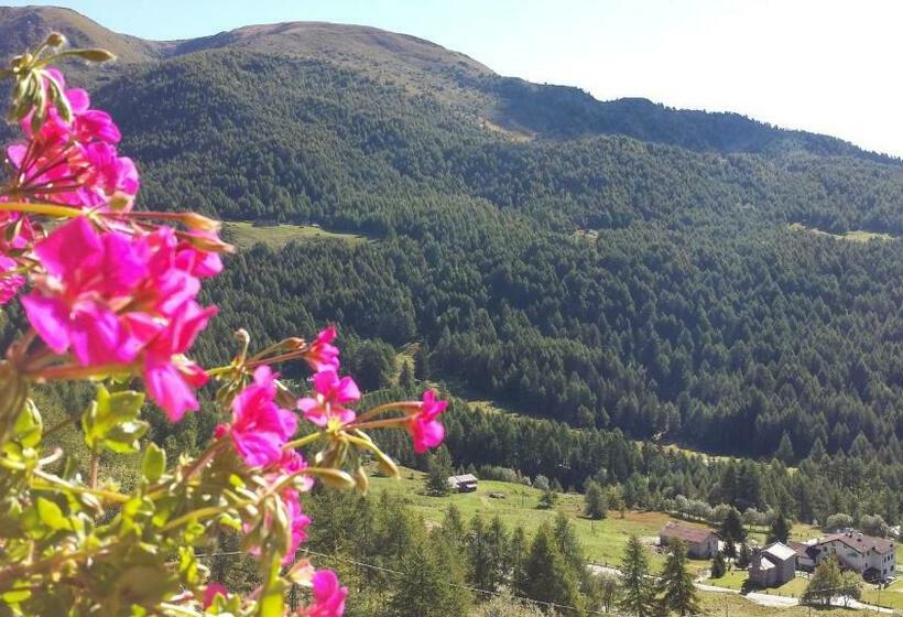 Номер Стандарт, Belvedere Mountain Experience