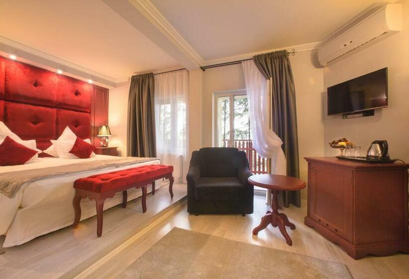 Номер Deluxe Вид на Озеро, Motel Cincis