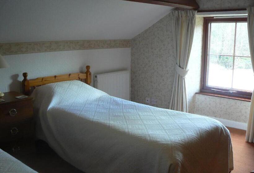 Номер Стандарт Совместная Ванная, Forest How Guest House