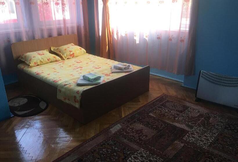 Номер Стандарт Совместная Ванная, Vila La Izvorul Putinei