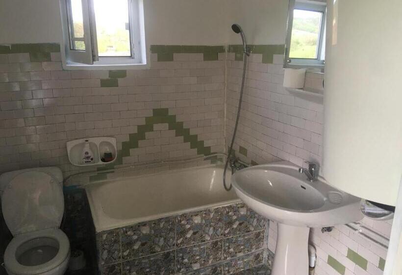 Номер Стандарт, Vila La Izvorul Putinei