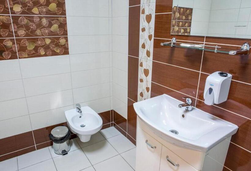 Люкс, Motel Darina