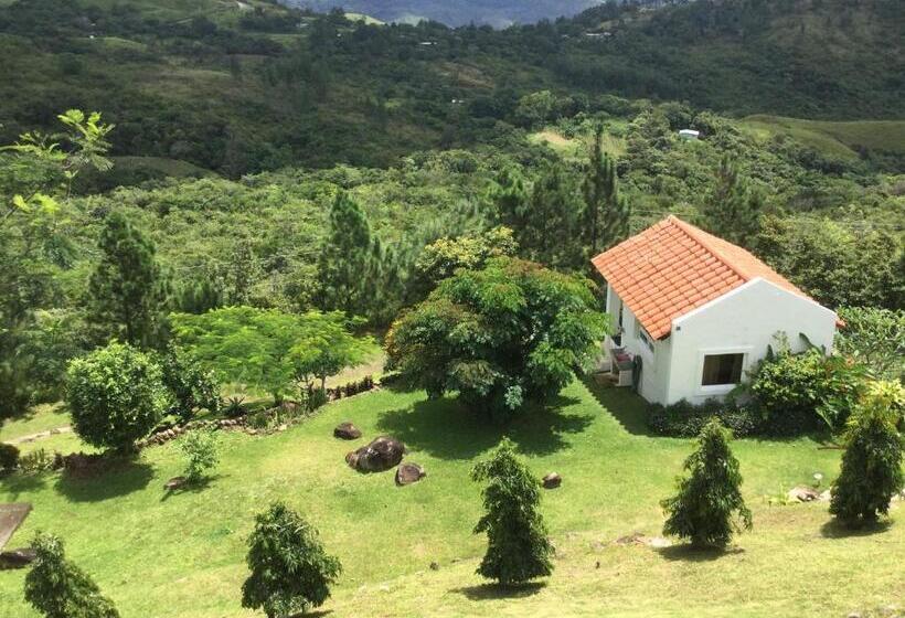 Номер Superior, Hawk's Nest Bed & Breakfast