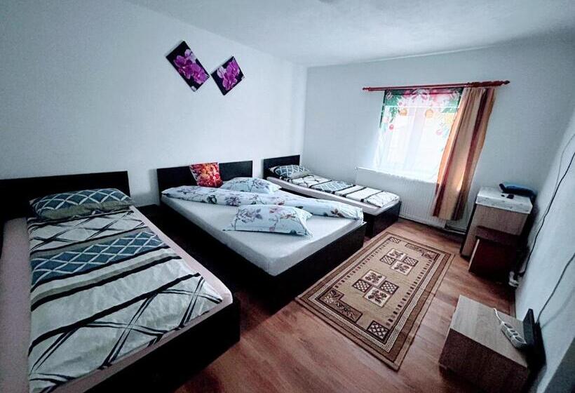 Семейный Номер Совместный Санузел, Casa Andreea