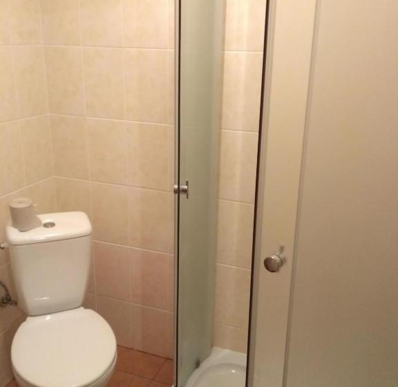 Семейное Студио, Guest House Mandrivnyi Rooms&apartments