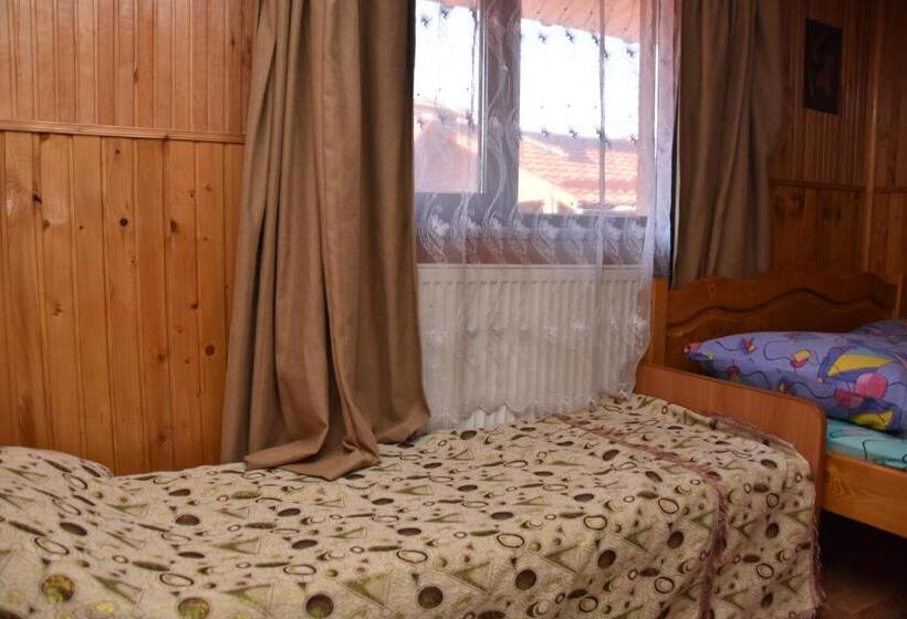 Студия Стандарт, Guest House Mandrivnyi Rooms&apartments