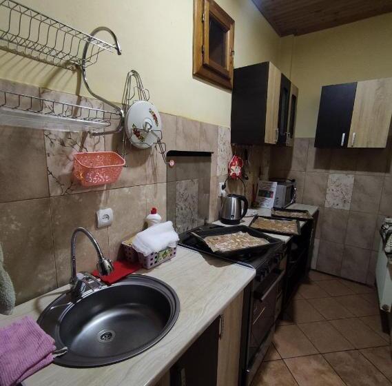 Апартаменты 1 Спальня Нижний Этаж, Guest House Mandrivnyi Rooms&apartments
