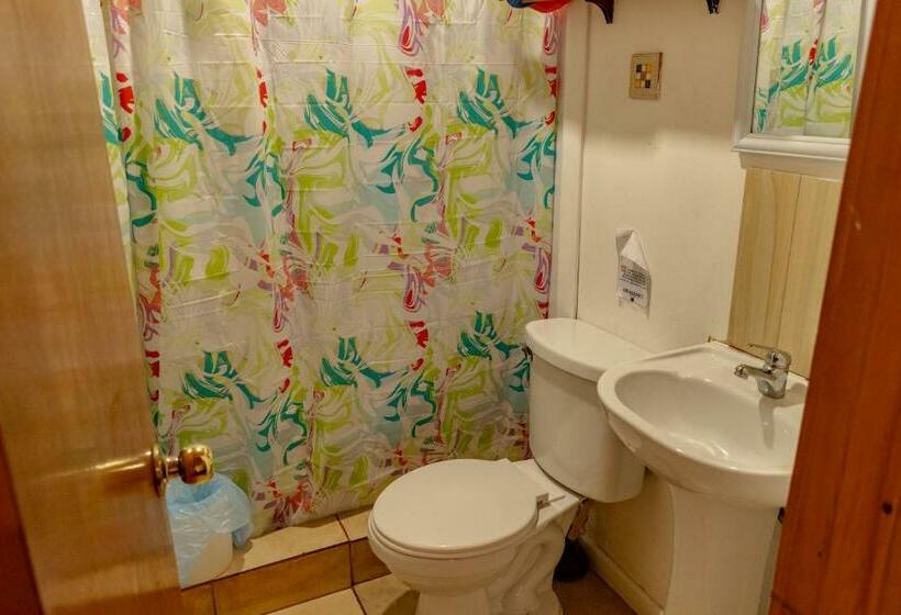 Апартаменты 1 Спальня, Cabañas Hostel Aquario Papudo