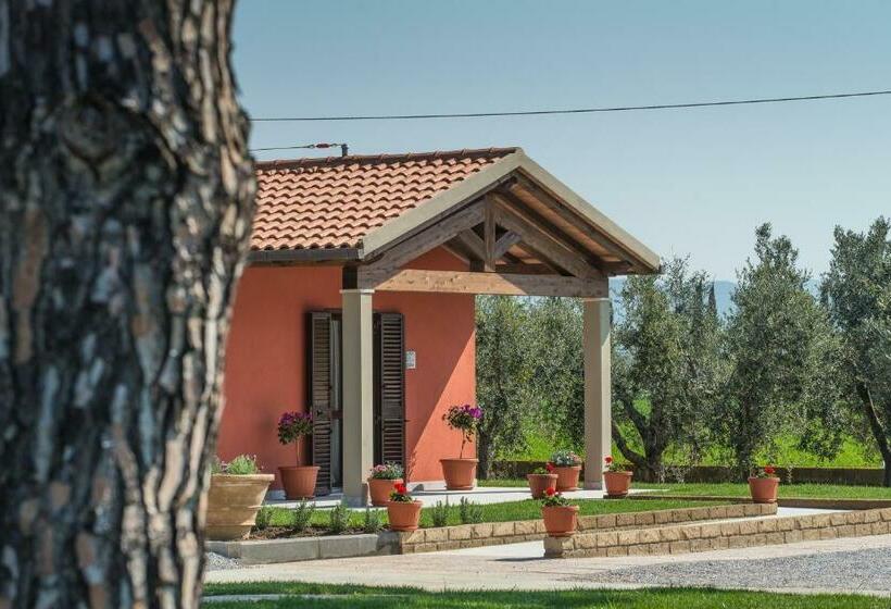 Апартаменты 1 Спальня Нижний Этаж, Agriturismo Nonno Gino   Charme&relax