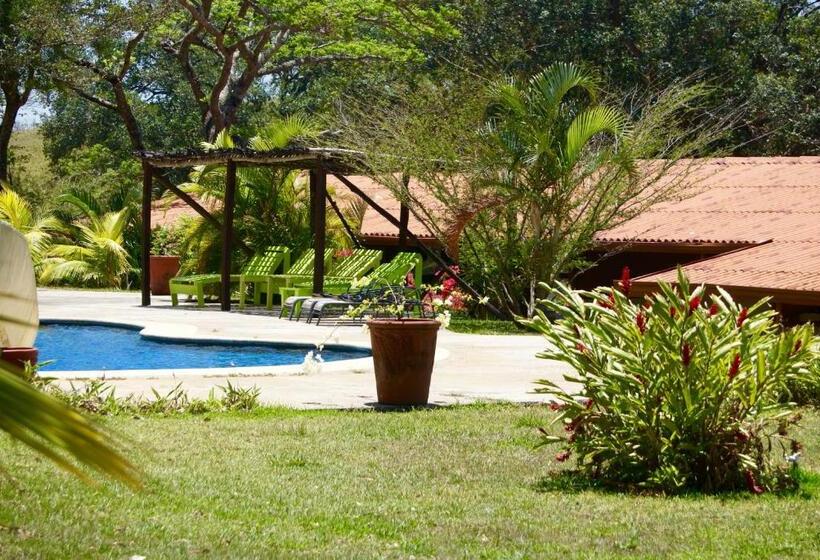 스탠다드 스튜디오, Vida Aventura Ranch