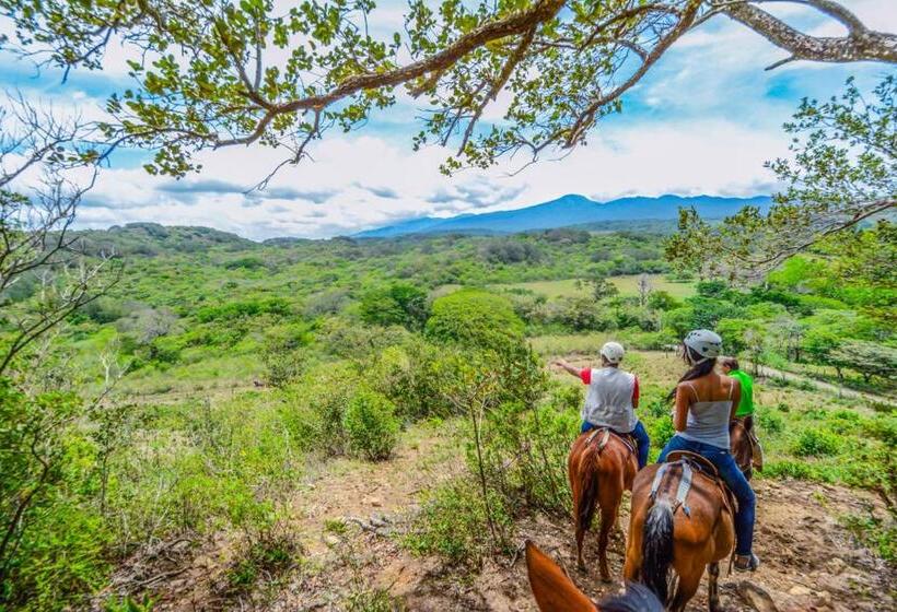 스탠다드 스튜디오, Vida Aventura Ranch