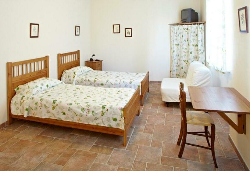 Номер Стандарт, Agriturismo Vignarello