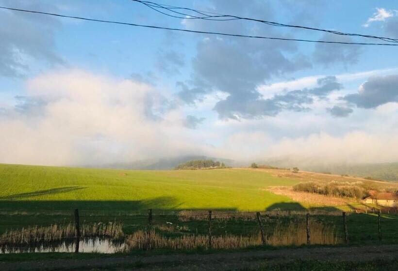 一居室别墅, Aranyló Vendégház
