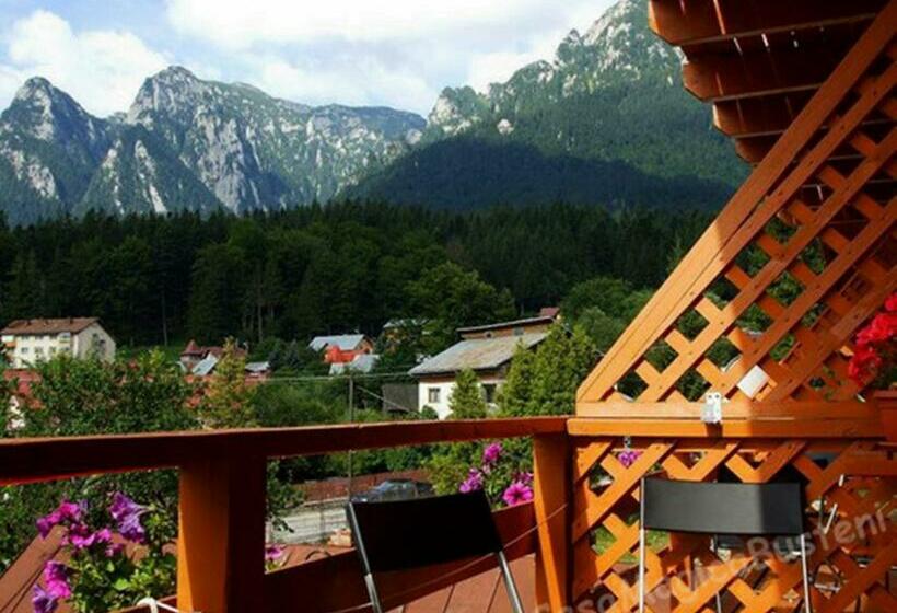 Номер Стандарт с Балконом, Casa Magica Busteni