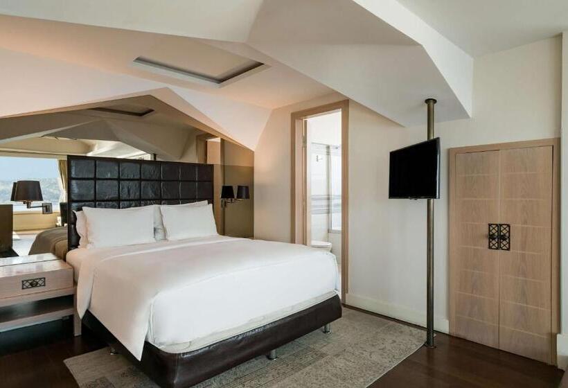 景色の見えるスイートルーム, Radisson Blu Bosphorus