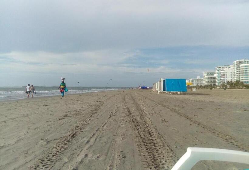 اتاق استاندارد, Junto Al Mar Y El Manglar