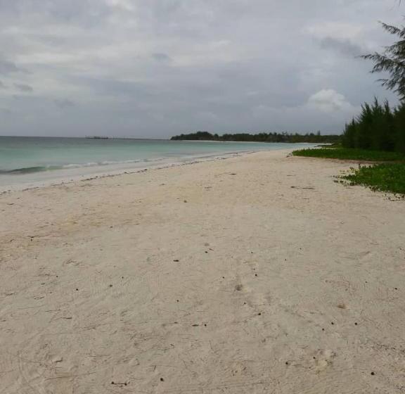 클래식 4인 룸, Barefoot Zanzibar