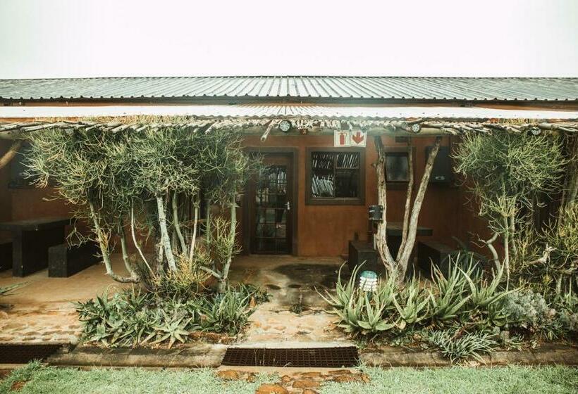 Четырехместный Номер Стандарт, Amphitheatre Backpackers Lodge